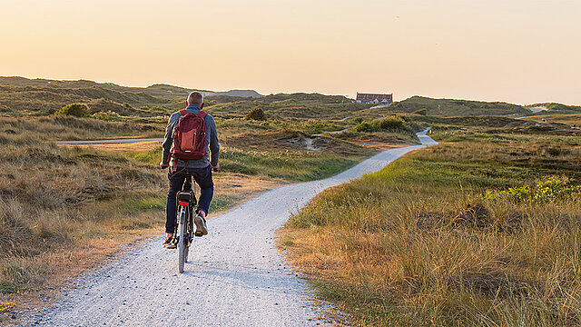 Radfahrer fährt auf einem Radweg durch Dünenlandschaft