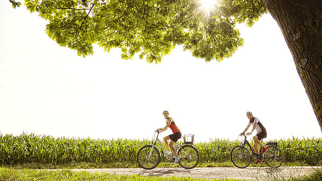 Zwei Fahrradfahrer auf einem Radweg, ein Baum im Vordergrund