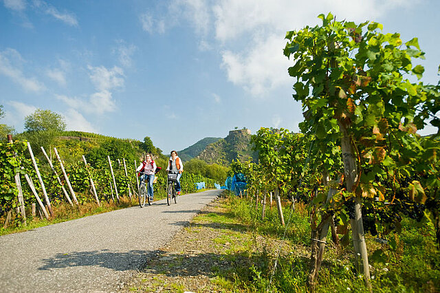 Auf dem Ahr-Radweg durchs Tal