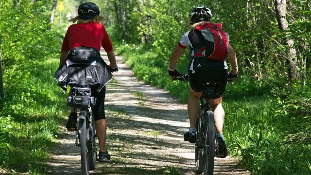 Zwei Radfahrer im Wald