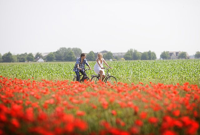 Ab 2021 neue Themenradwege in Flandern