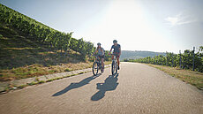 zwei Radfahrer radeln zwischen Weinbergen