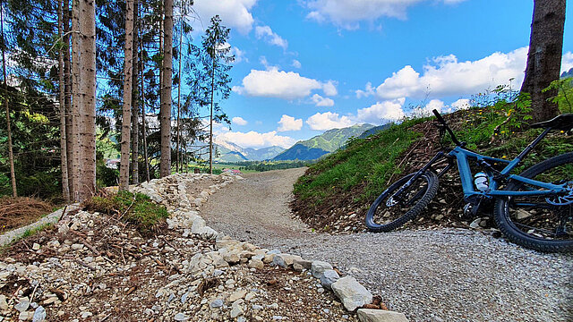 Mountainbike auf den Mühlwald-Trails