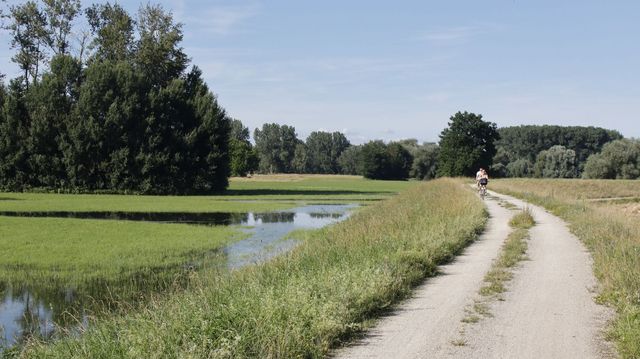Radweg am Damm