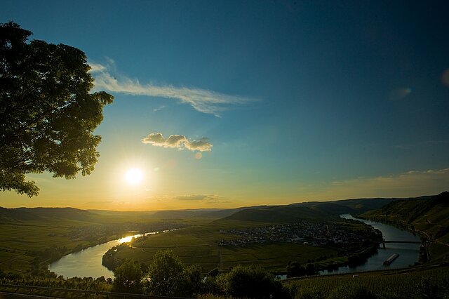 Von Moselschleife zu Moselschleife radeln