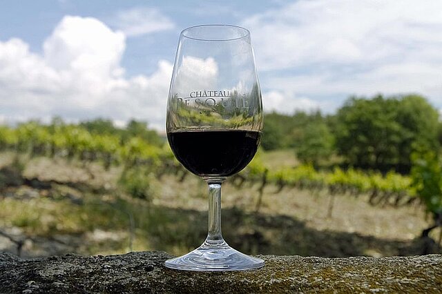 Wein aus der Weinkooperative Château Pesquié