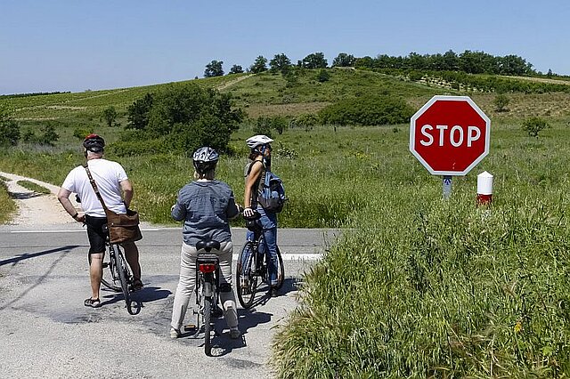 Fahrrad in der Provence