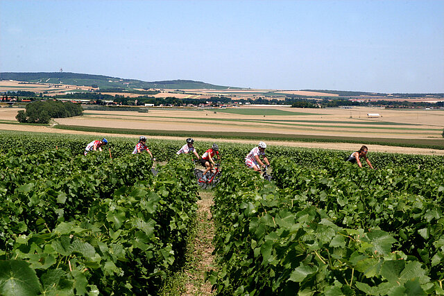 Champagner-Radtouren