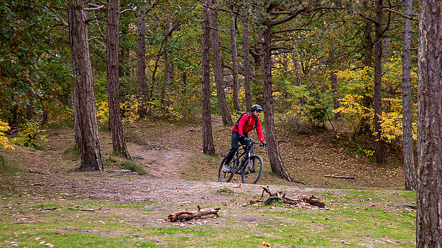 Radfahrer im Wald