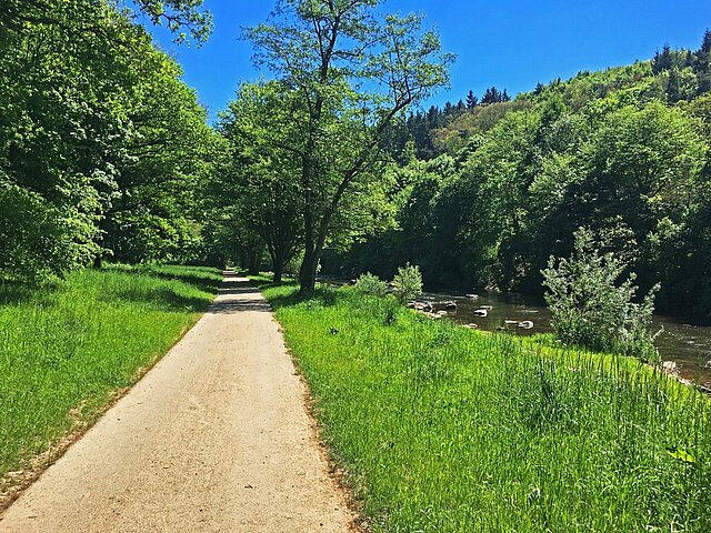 Flussradeln im Schwarzwald