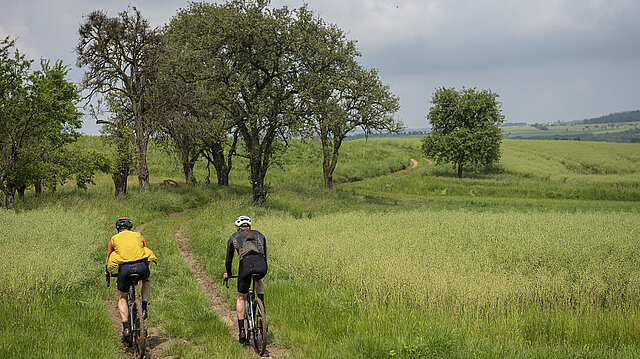 zwei Radfahrer fahren durch eine Wiesenlandschaft