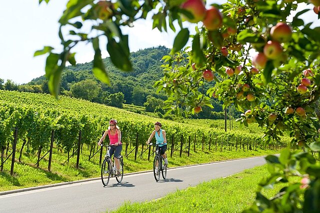 Unterwegs auf dem Barbarossa-Radweg
