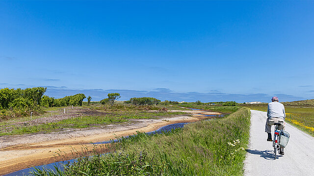 Radfahrer fährt auf Radweg vorbei an Salzwiesen